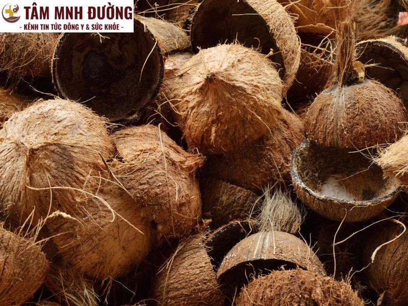 Gáo dừa điều trị hắc lào